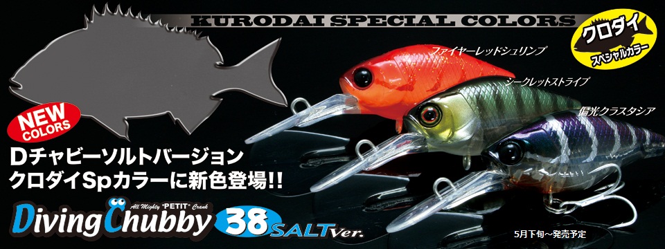 Dチャビー38　ソルト